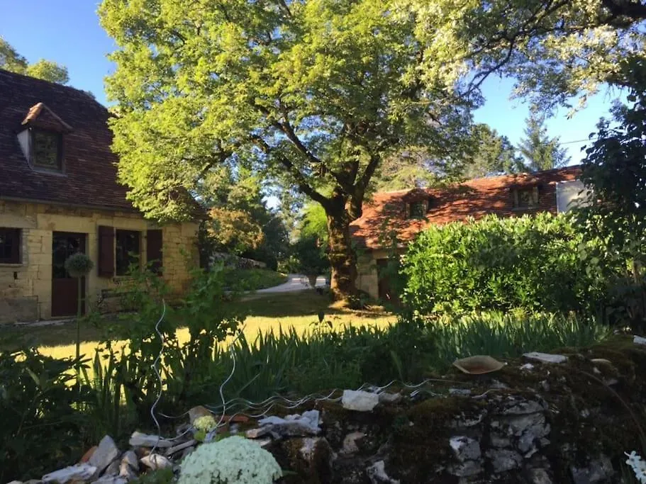 Maison En Pierre Dans La Foret - Piscine & Calme 마텔 펜션